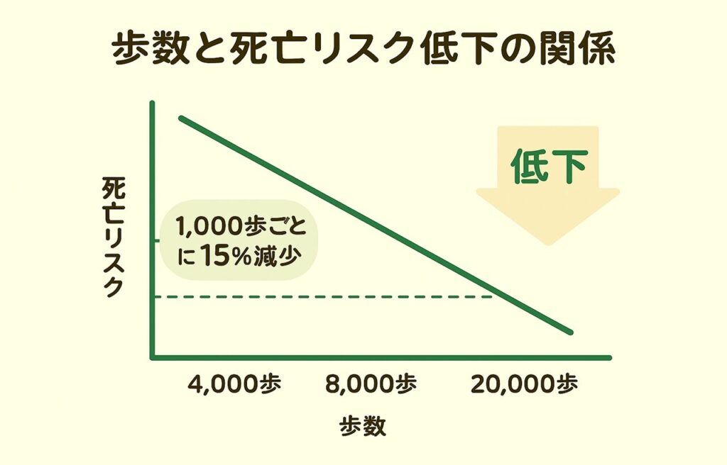1日あたりの歩数と死亡リスクの関係を示した図解。歩数が約4000歩、8000歩、20000歩と増えるにつれて、死亡リスクが段階的に低下する様子を示す右下がりのグラフ。背景はシンプルな白で、視認性を重視したデザイン。